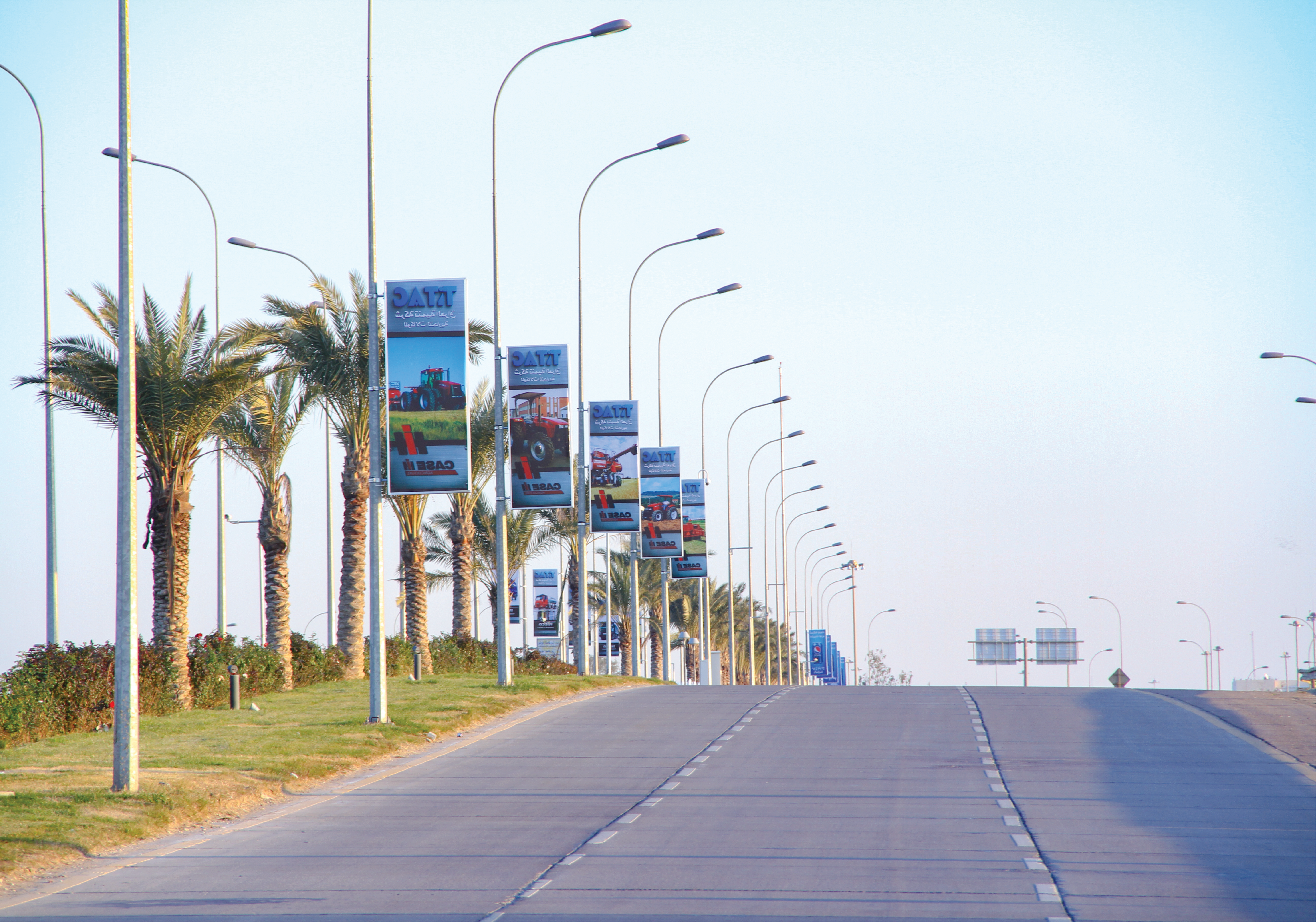 مجمع المنصور